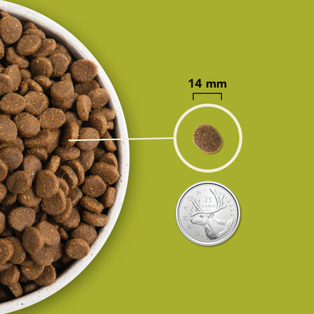 Acana grasslands hot sale dog food ingredients