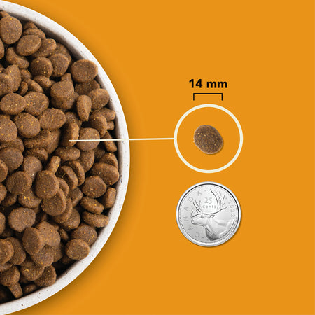Acana Wild Prairie Dog Food - Safari Pet Center