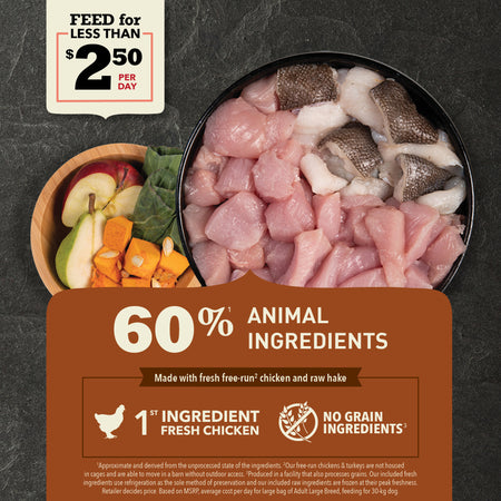 Acana adult large online