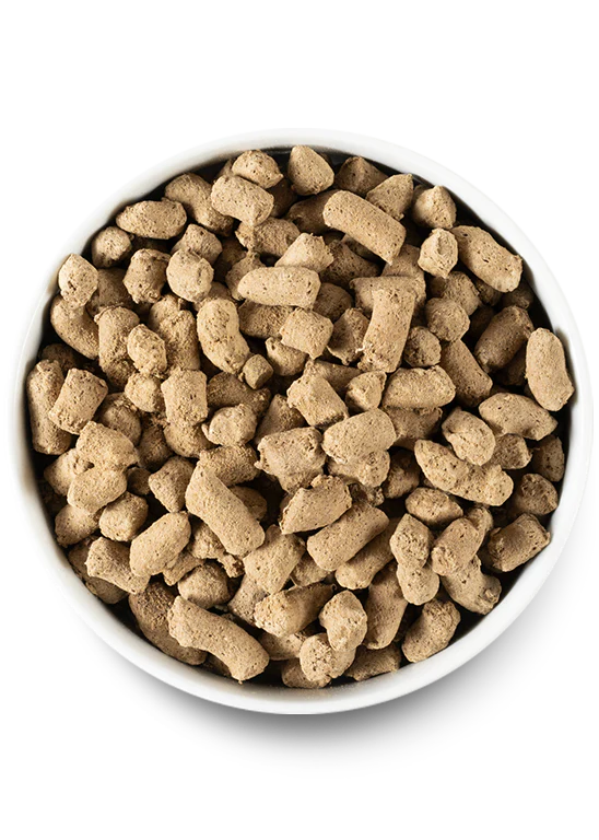 Dog food with freeze dried raw hot sale