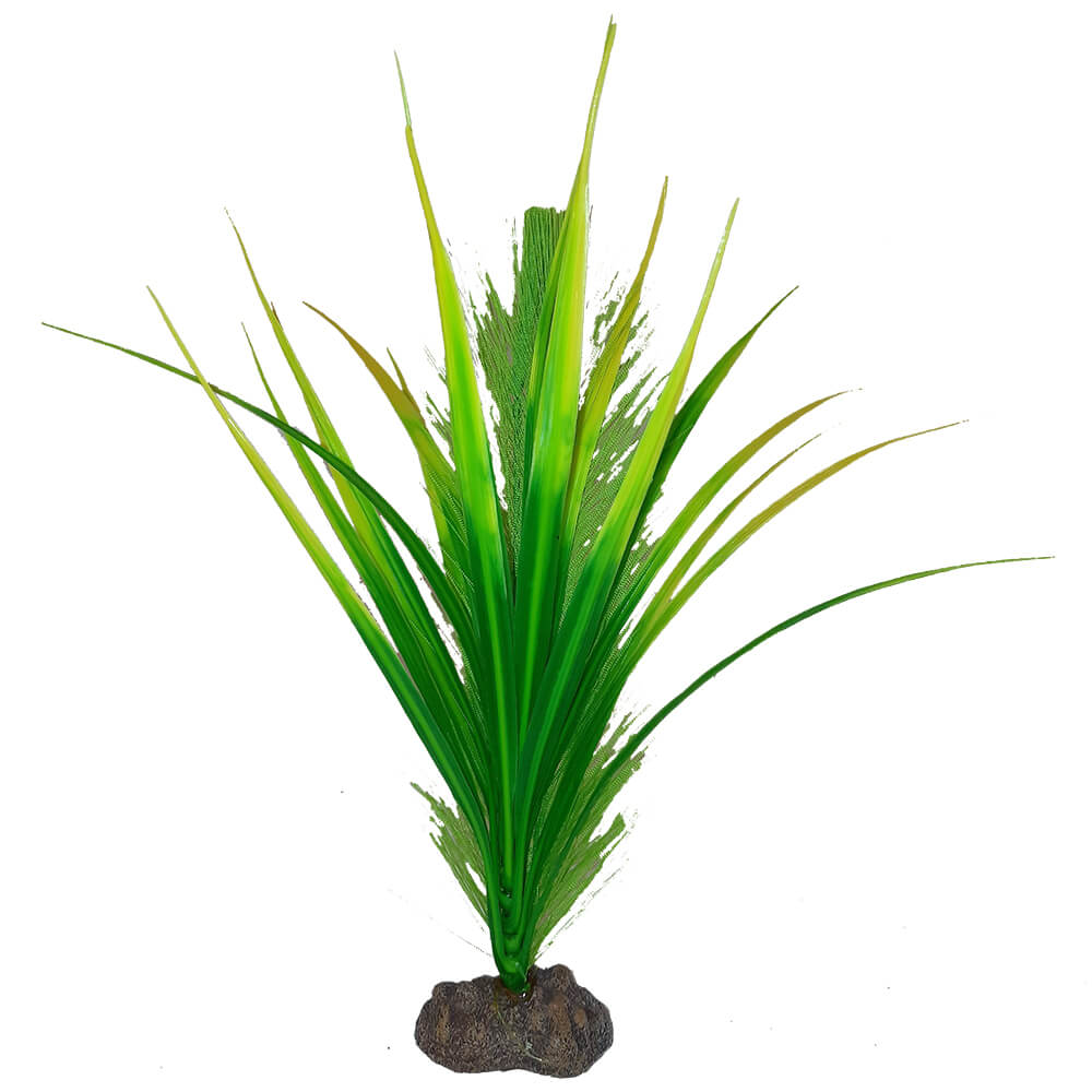 Fluval Betta Premium Yellow Parrot Plant, 8″ / 20 cm