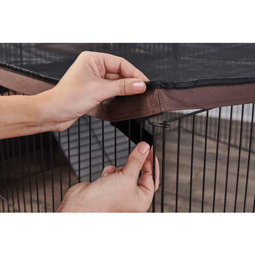 Oxbow cage 2025 with play yard