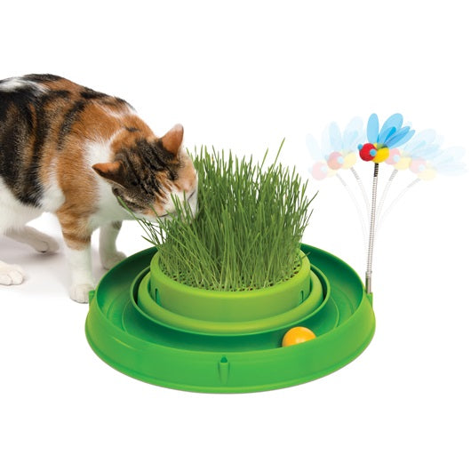 Jouet de balle avec circuit 3 en 1 Catit Play avec herbe à chat - Safari  Pet Center