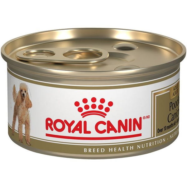 Royal Canin Poodle Adult (Loaf in Sauce) - Wet Canned Dog Food