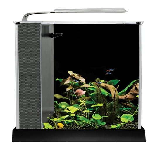 ACQUARIO FLUVAL SPEC ASKOLL 10 LITRI ILLUMINAZIONE LED COMPLETO NUOVO  MODELLO - ACQUARI - ACQUARI