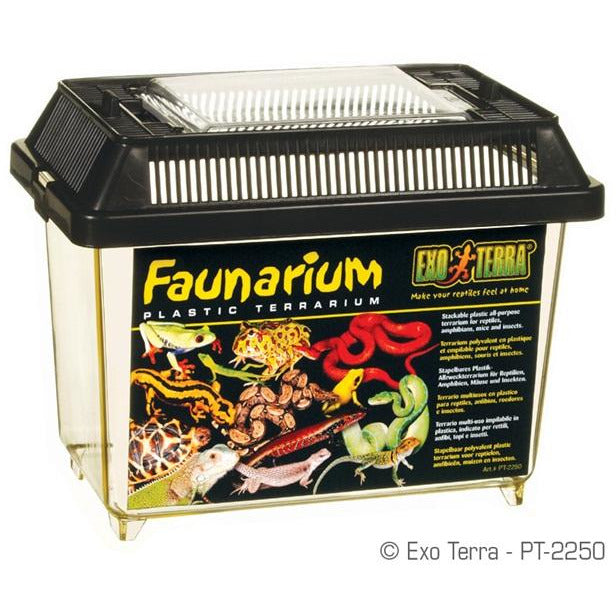 Exo Terra Faunarium (Mini - L)