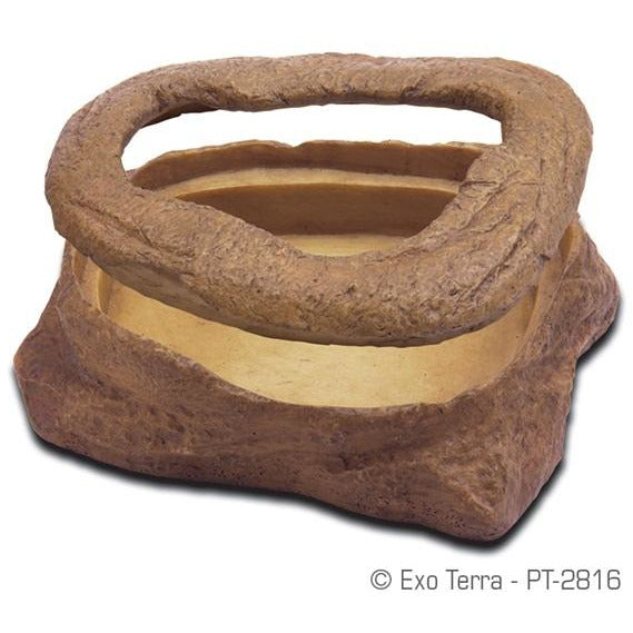 Worm dish mealworm shop feeder