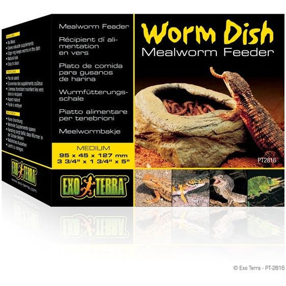 Worm dish mealworm feeder sale