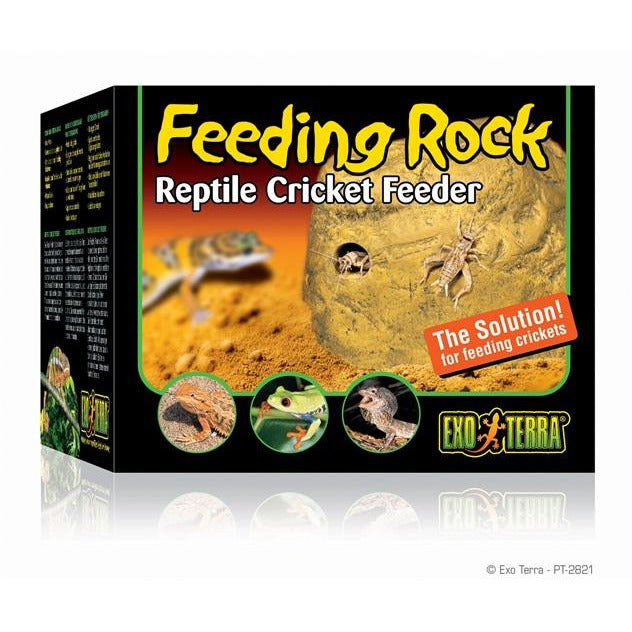 Exo Terra Feeding Rock, Reptile Cricket Feeder
