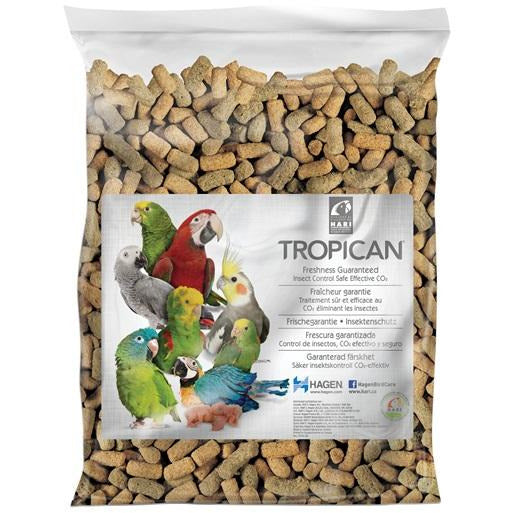 Tropican parrot hot sale food