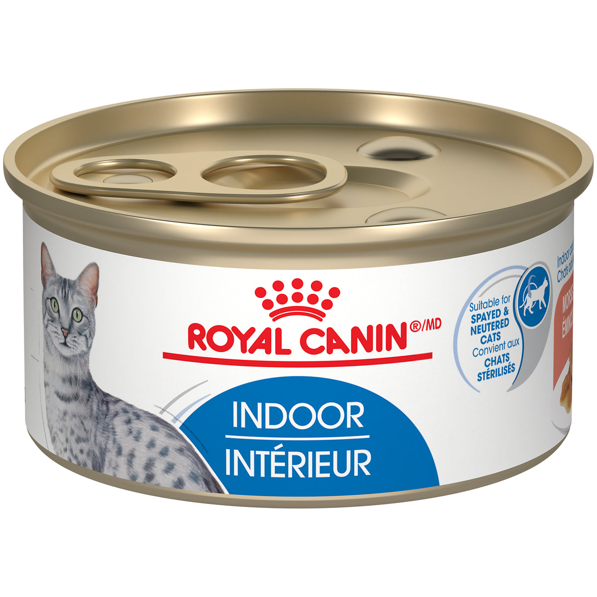 Royal Canin - CHATS INTÉRIEUR ADULTE émincés en sauce – nourriture en conserve pour chats (85g)