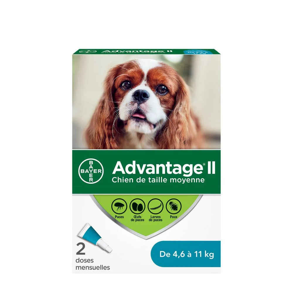 Advantage ii for dogs best sale
