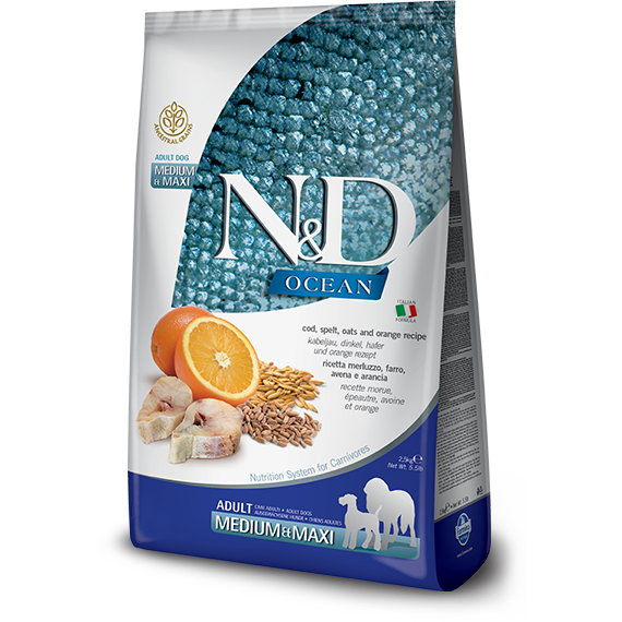 Ancestral grains 2025