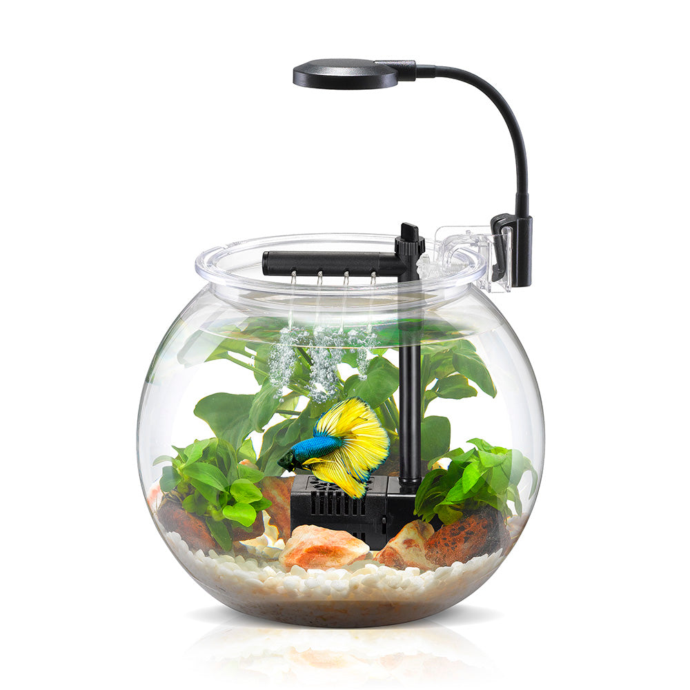 Aquarium Mini USB réservoir à poissons Creative Pot avec eau Pompe