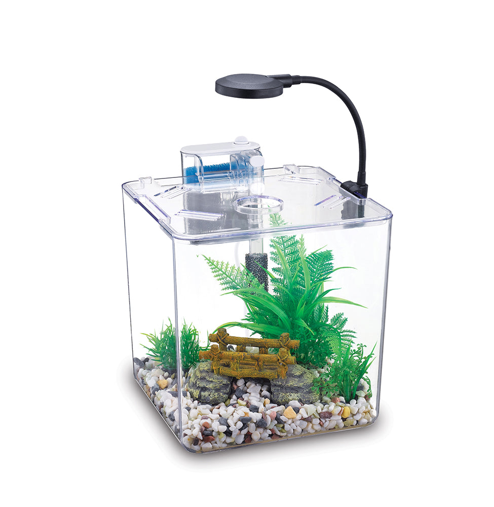 NUBIOS Desktop Betta Square Bowl 5L (1.32 Gallon)