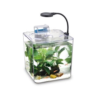 NUBIOS Desktop Betta Square Bowl 5L (1.32 Gallon)