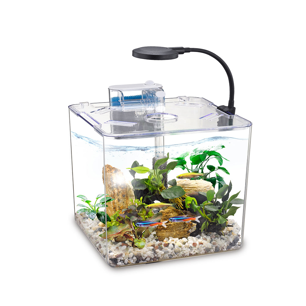 NUBIOS Desktop Betta Square Bowl 12L (3 Gallon)