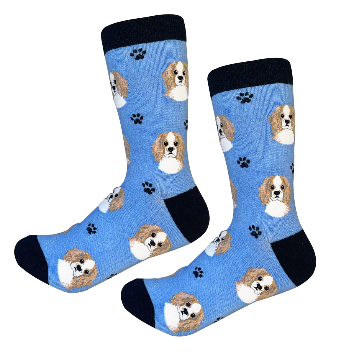 Sock Daddy Unisex - Cavalier King Charles