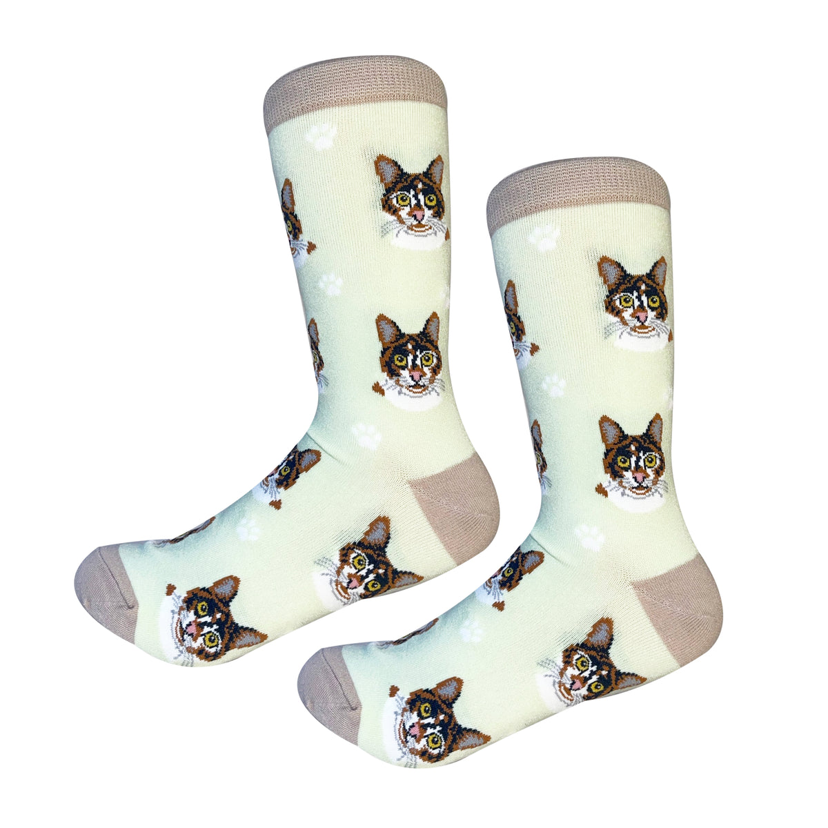 Sock Daddy Unisex Bas - Chat Calico