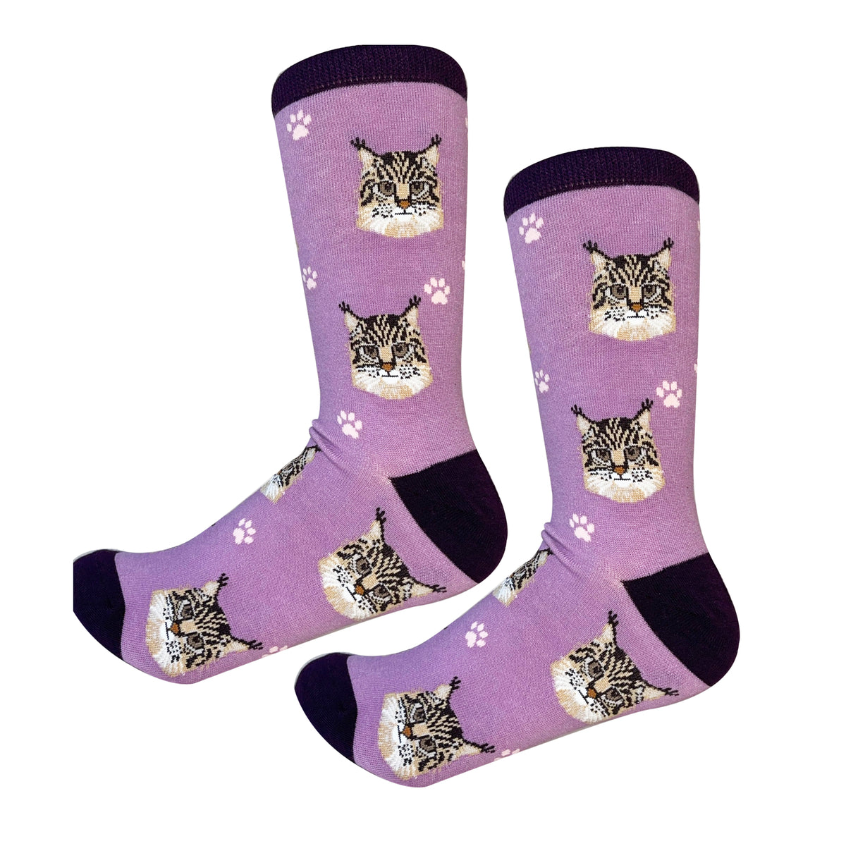Sock Daddy Unisex Bas - Chat Main Coon 