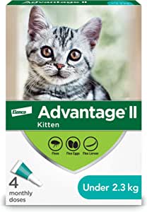 ADVANTAGE II pour chat - Protection topique contre les puces (4 doses)