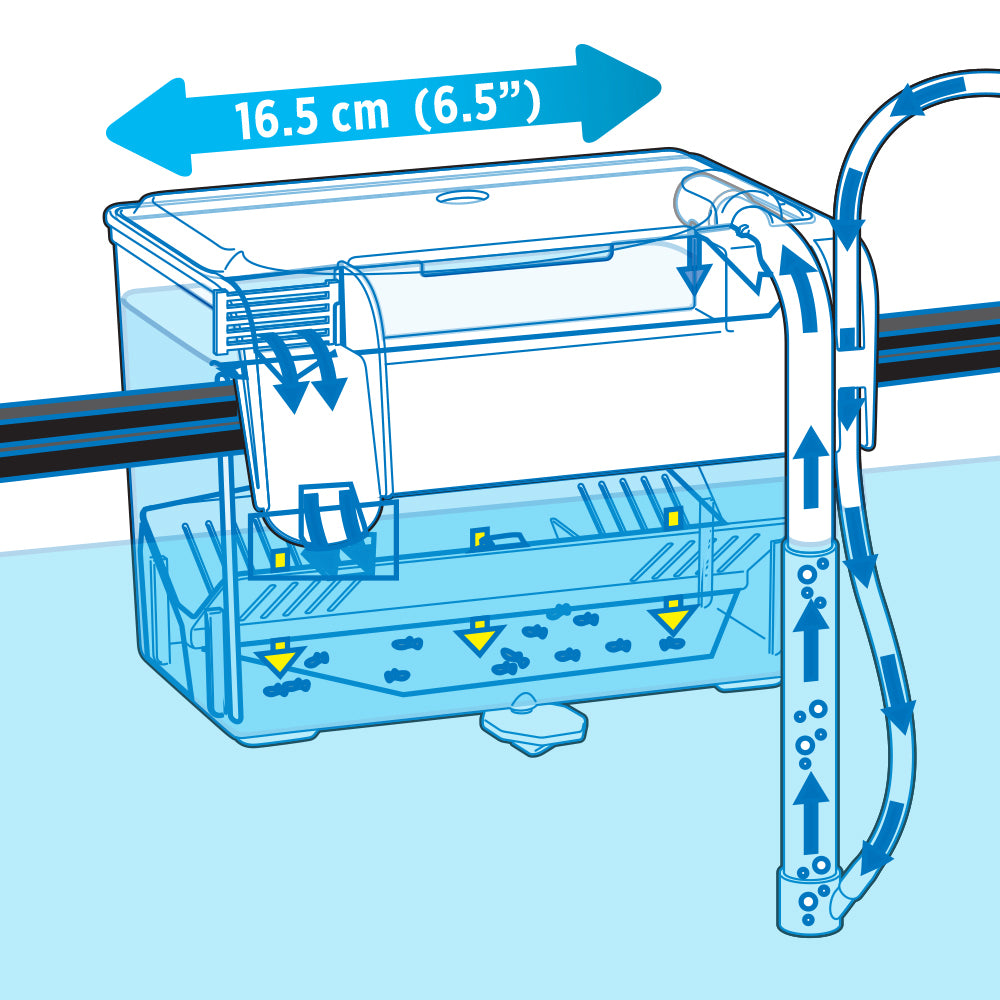 Marina Hang On Breeding Box, Medium