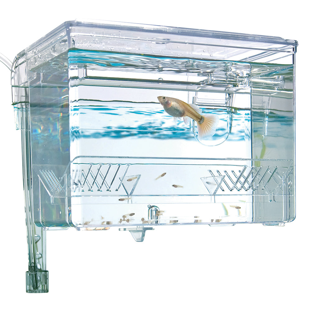 Marina Hang On Breeding Box, Medium