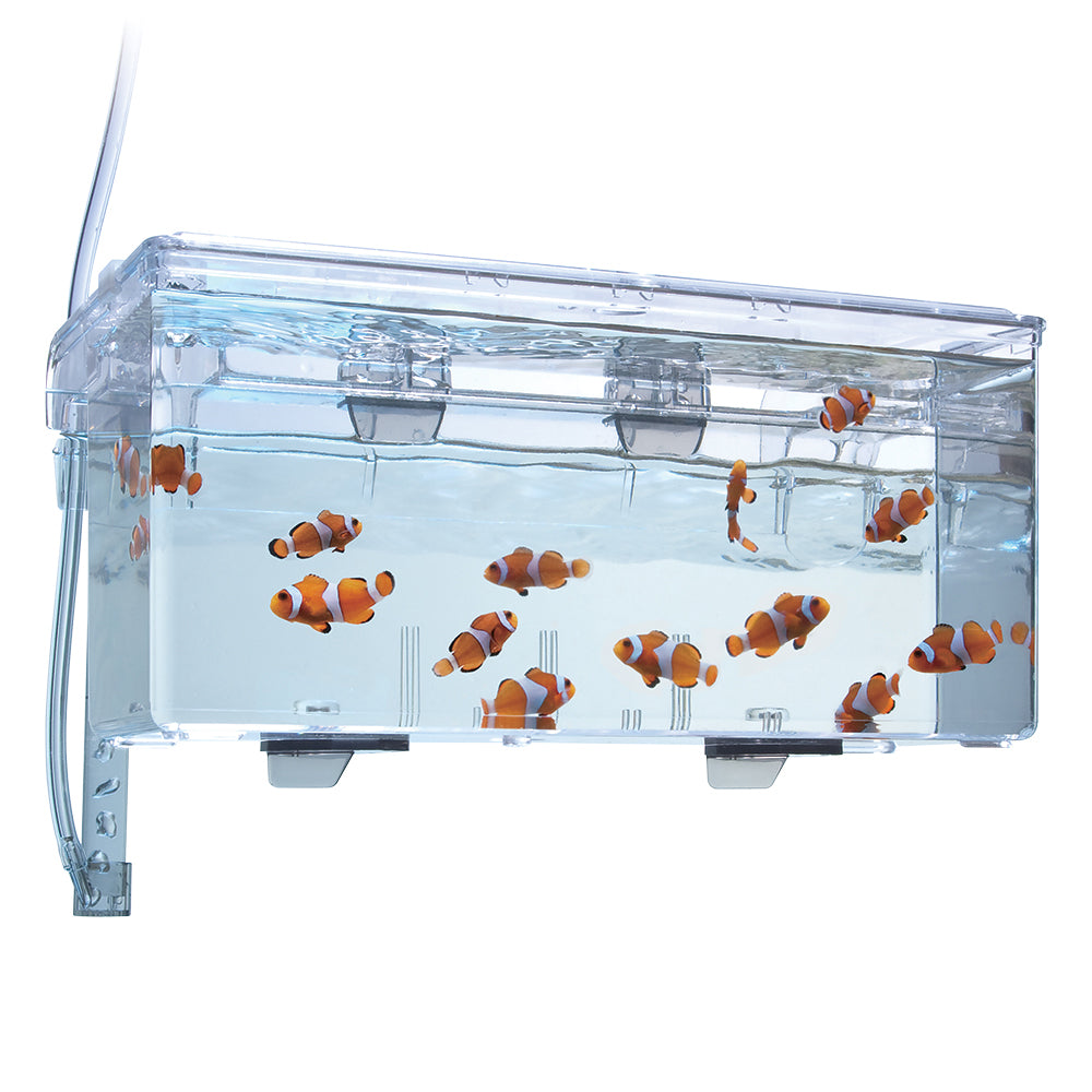 Fluval Multi-Chamber Holding & Breeding Box - 26 x 14 x 12 cm