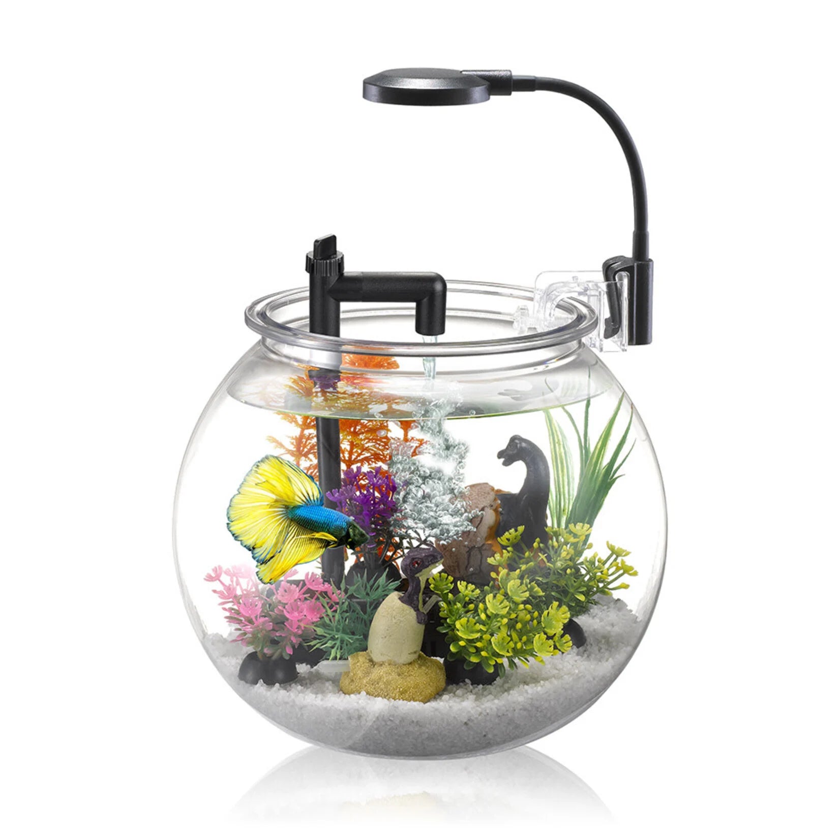One gallon fish 2024 bowl