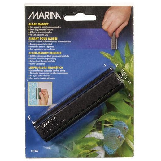 Marina Medium Algae Magnet