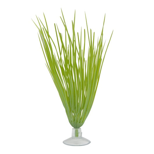 Marina Betta Kit Hairgrass Plant With Suction Cup,12.7cm (5&quot;)