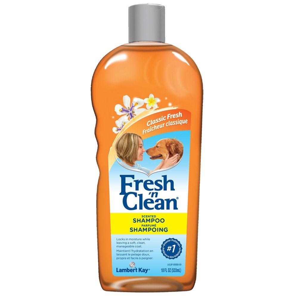 Fresh N Clean Scented Shampoo 18oz