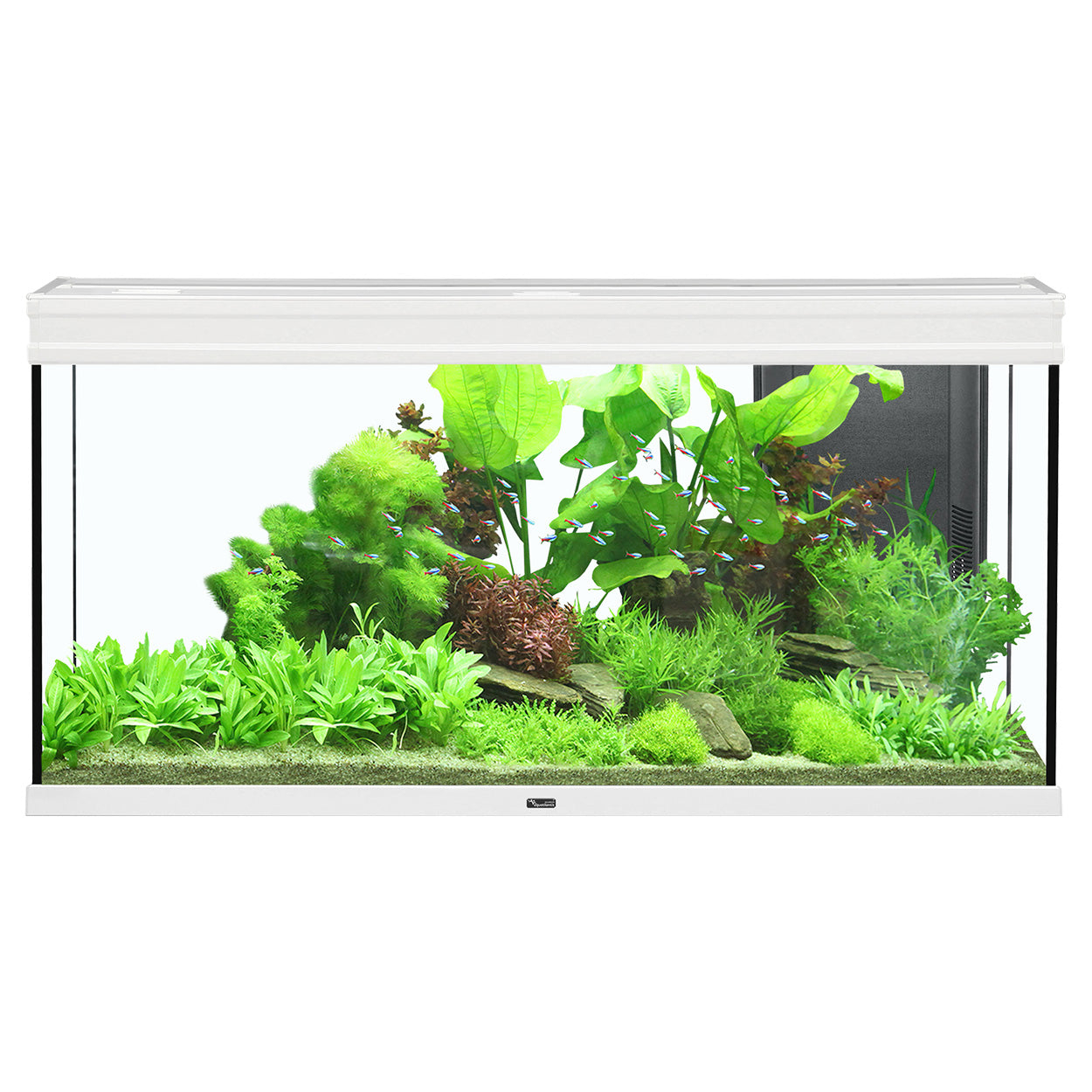 Seapora Standard Aquarium - 90 Gallon - Safari Pet Center