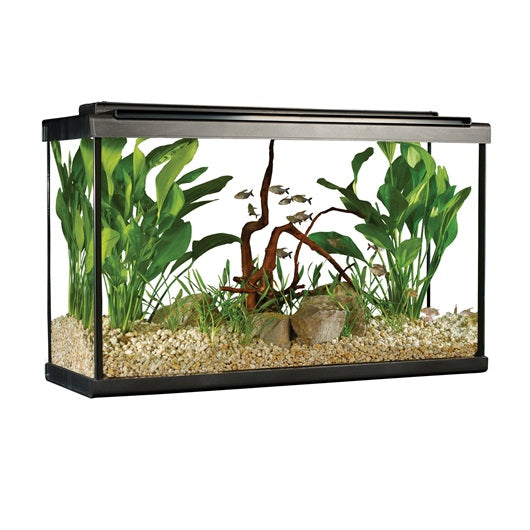 Fluval Premium Aquarium Kit with LED - 29 Tall - 110 L (29 US gal)