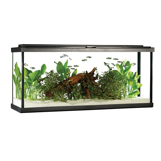 Fluval Premium Aquarium Kit with LED - 55 gal - 208 L