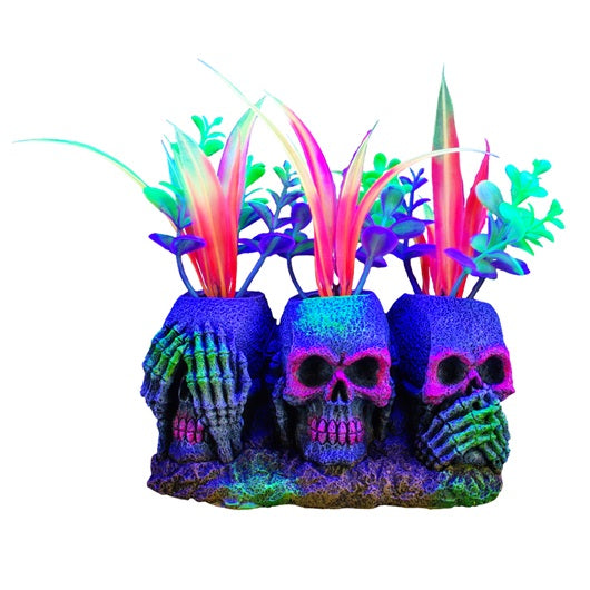 Ornement iGlo Marina, 3 crânes et plantes, petit, 14 cm (5.5 po)