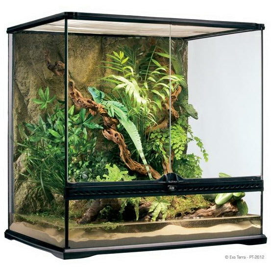 Terrariums Tagged 