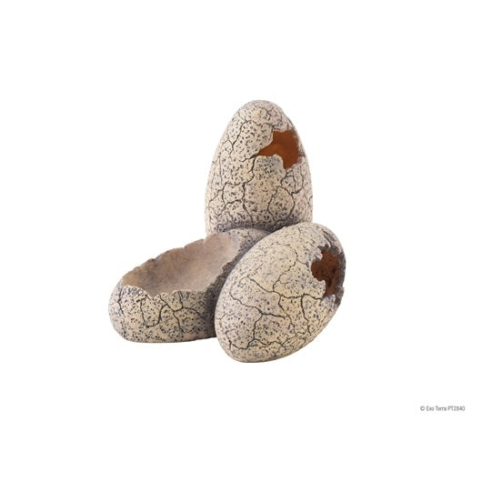 Tapis chauffant Exo Terra (XS - LG) - Safari Pet Center