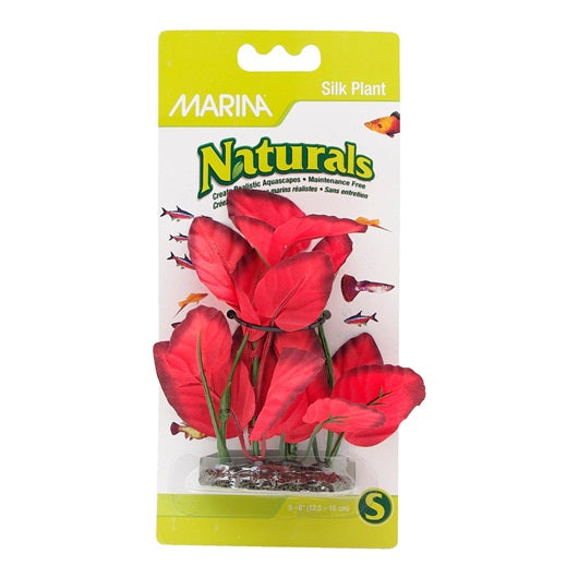 Plante en soie rouge de premier plan de Marina Naturals - 12,5 - 15 cm (5-6&quot;)