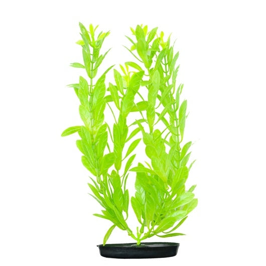 Marina Vibrascaper Plastic Plant - Hygrophilia - Green-Dayglo - 30 cm (12 in)