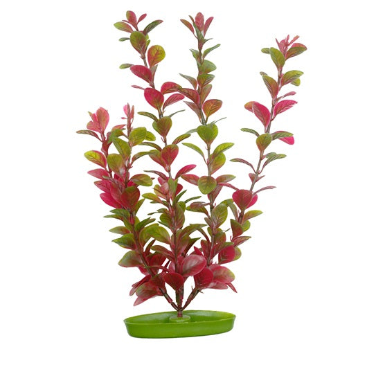 Plante en plastique Marina Aquascaper - Ludwigia rouge - 30 cm (12 po)