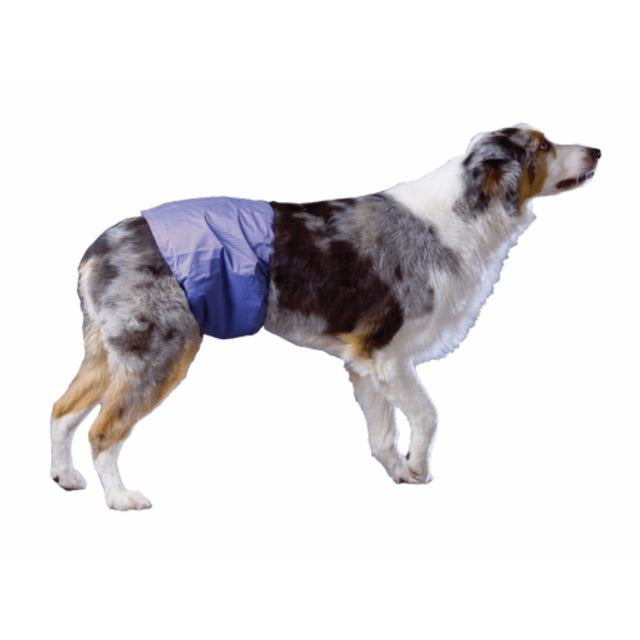 Pooch Pad - PoochPants Male Dog Diaper Wraps / Belly Bands (S-XL)