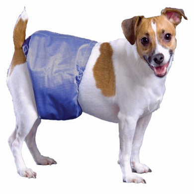 Pooch Pad - PoochPants Male Dog Diaper Wraps / Belly Bands (S-XL)