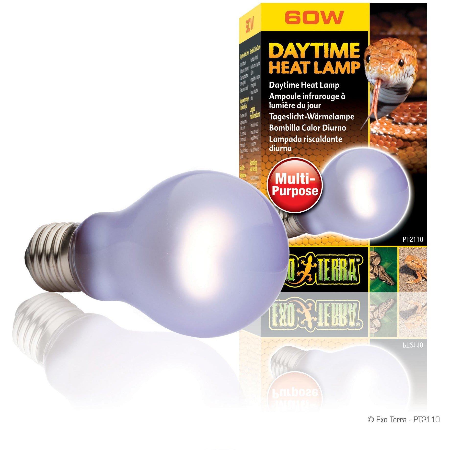 Lampe chauffante de jour Exo Terra - A19/60 W - Safari Pet Center
