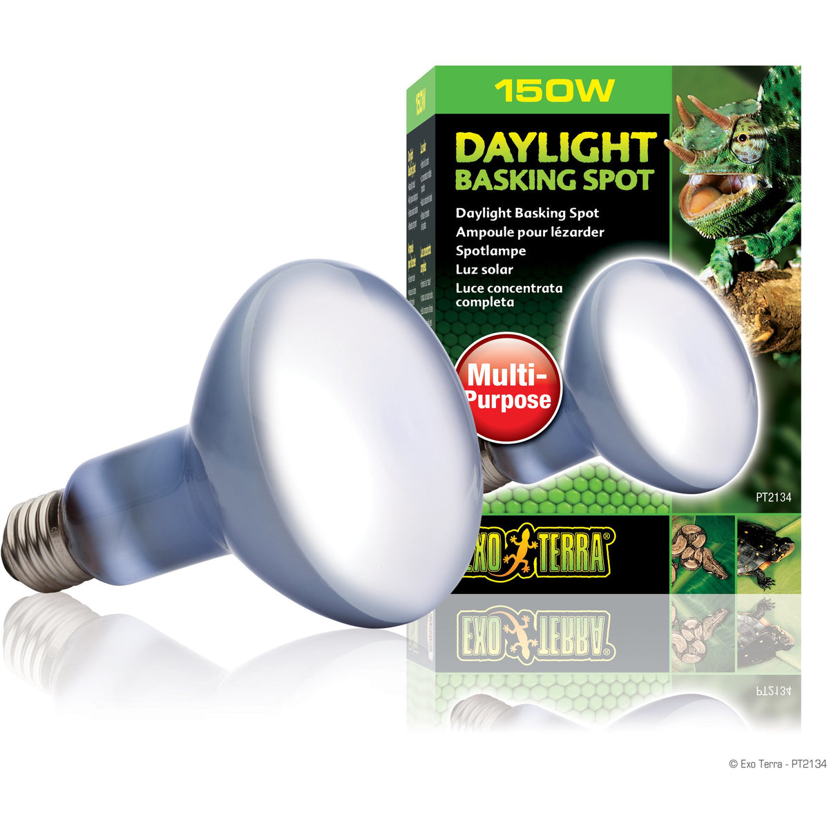 Exo Terra Daylight Basking Spot Lamp - R30 / 150 W