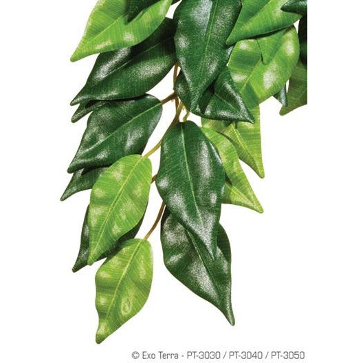 Exo Terra Silk Plant Ficus (SM - LG)
