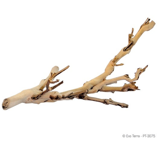 Exo Terra Forest Branch - Sandblasted Grapevine - Small