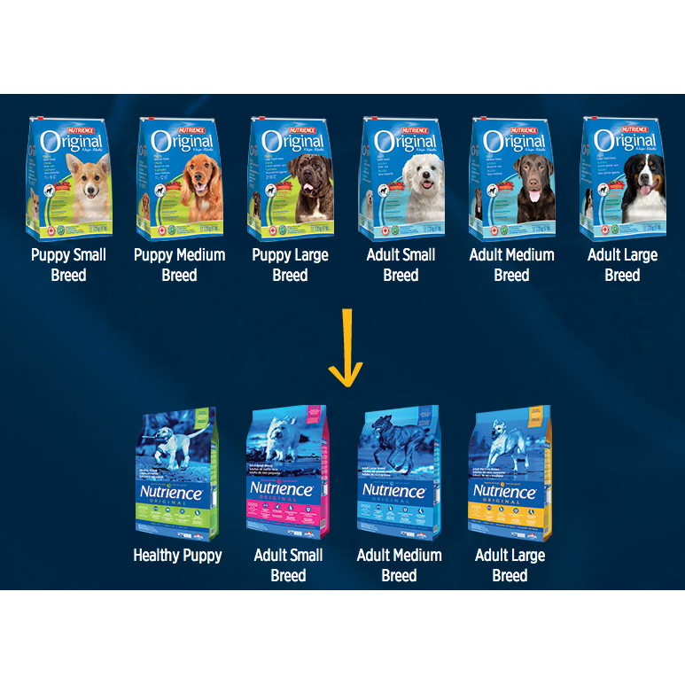 Nutrience original dog food outlet