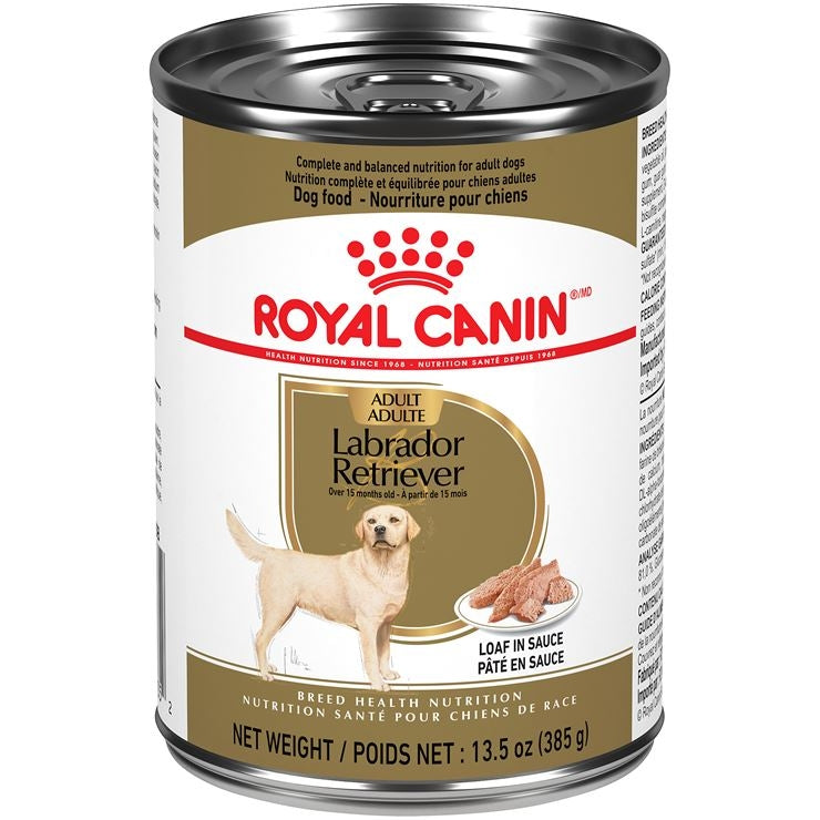 Royal Canin Labrador Retriever Adulte - Nourriture en conserve pour chiens (385g)