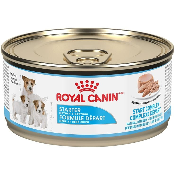 Royal Canin Starter Mousse - Nourriture en conserve pour chiots/chiens (145g)
